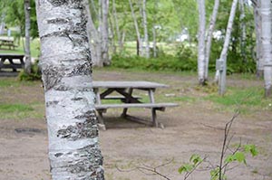 Picnic table