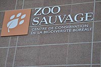 Zoo sauvage de St-Félicien